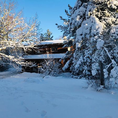 Kibuvitsa Holiday House Muratsi Exteriér fotografie